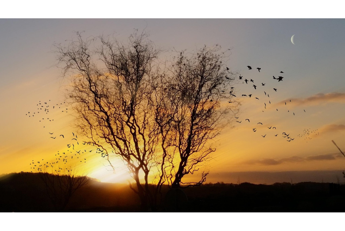 Ces Athées proches de Dieu
